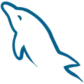 MySQL MySQL
